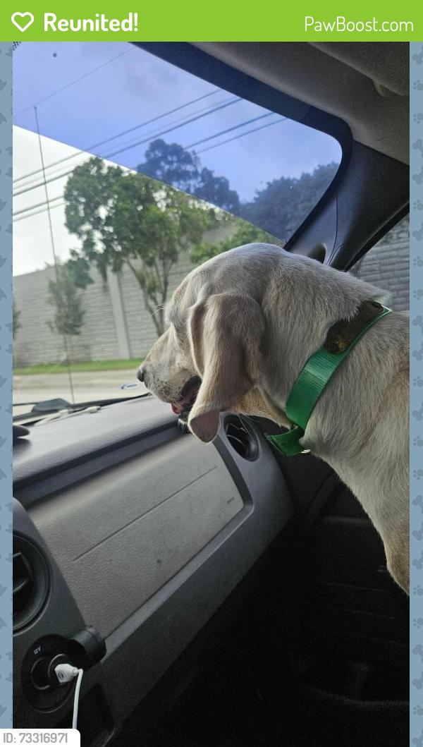Reunited Female Dog last seen west davie, Davie, FL 33330