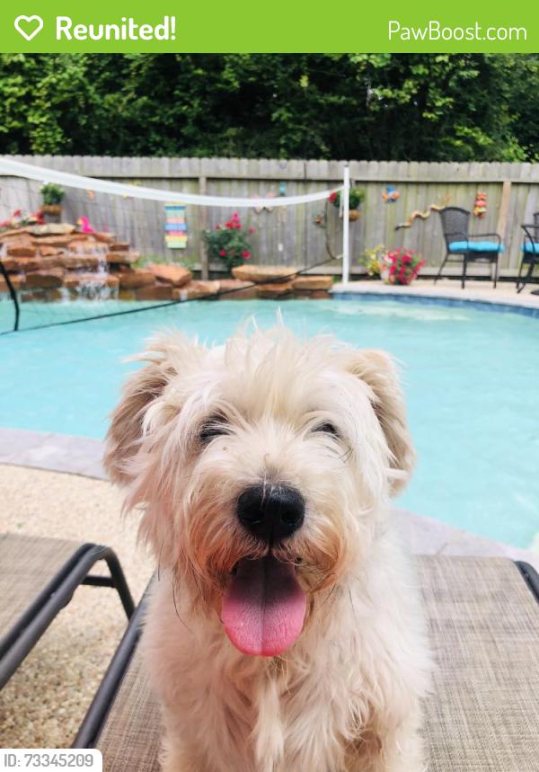 Reunited Female Dog last seen Windy Stream Ln, Houston, TX 77044, USA, Houston, TX 77044