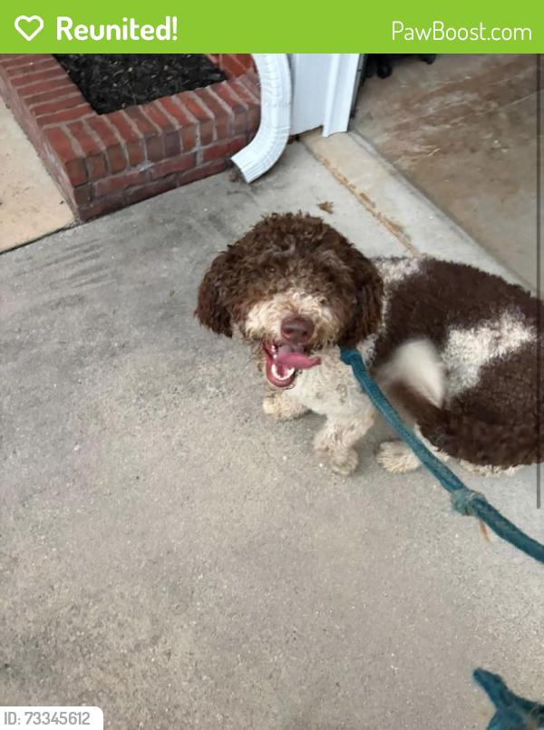 Reunited Unknown Dog last seen Providence/Monrovia, Huntsville, AL 35806