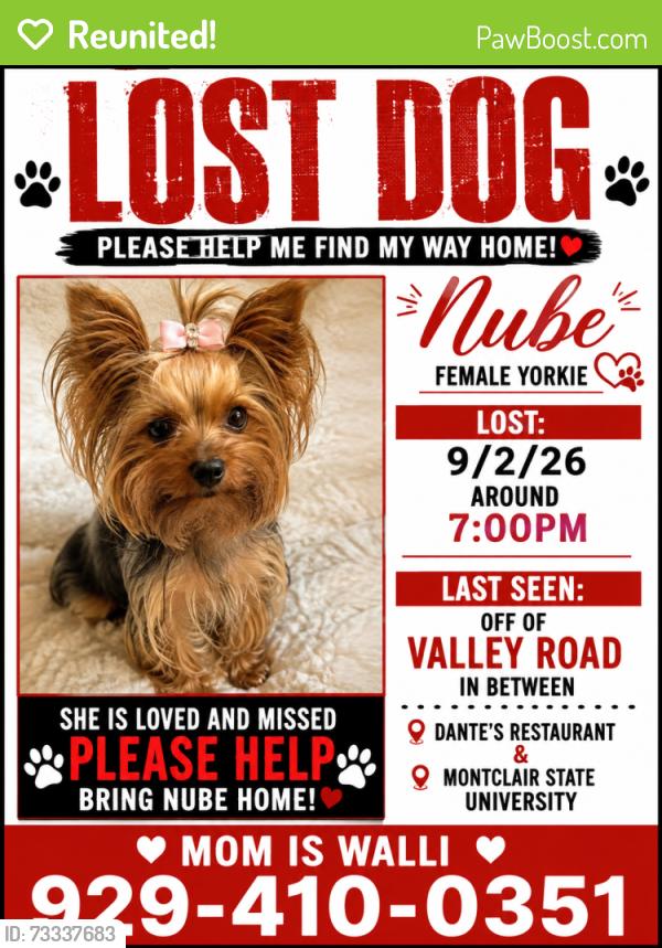 Reunited Female Dog last seen Valley rd, Clifton, NJ by Dante's restaurant, Montclair University, Clifton, NJ 07013