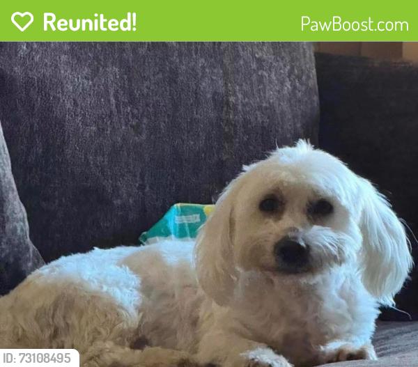 Reunited Male Dog last seen Dayton, OH, USA, Dayton, OH 45402