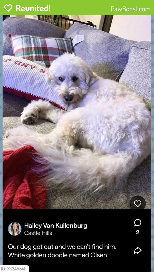 Reunited Male Dog last seen Parker near Tooth Acres, Carrollton, TX 75010