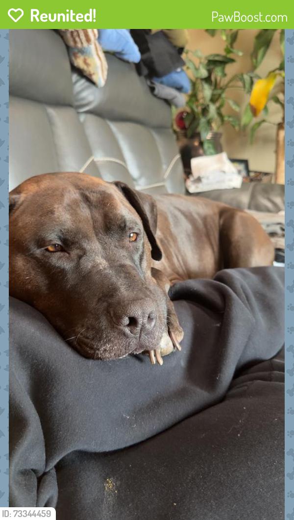 Reunited Male Dog last seen Quincy and resivor, Aurora, CO 80013