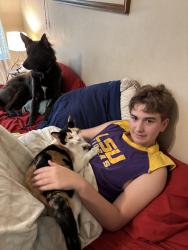 Lost Female Cat last seen Lake Ramsey, Covington, LA 70435