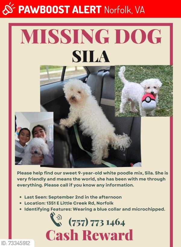 Lost Female Dog last seen Near E Little Creek Rd, Norfolk, VA 23518