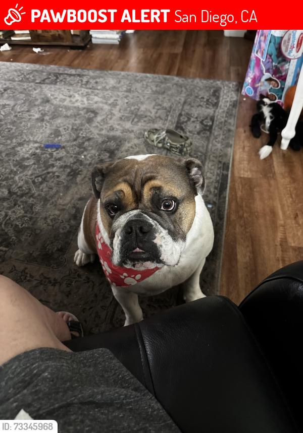 Lost Male Dog last seen Rancho hills Dr /Landscape Dr, San Diego, CA 92139