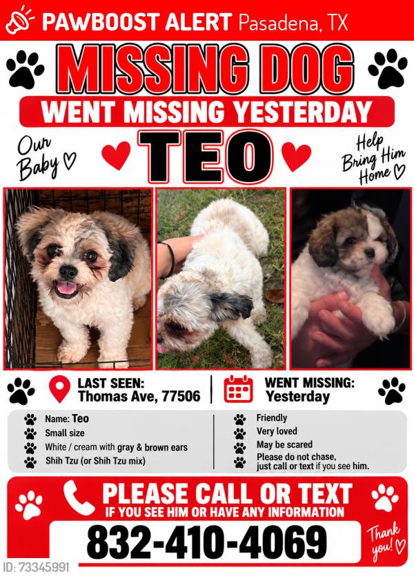 Lost Male Dog last seen Gas station, Pasadena, TX 77506
