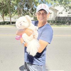 Reunited Female Dog last seen Village one, Modesto, CA 95355