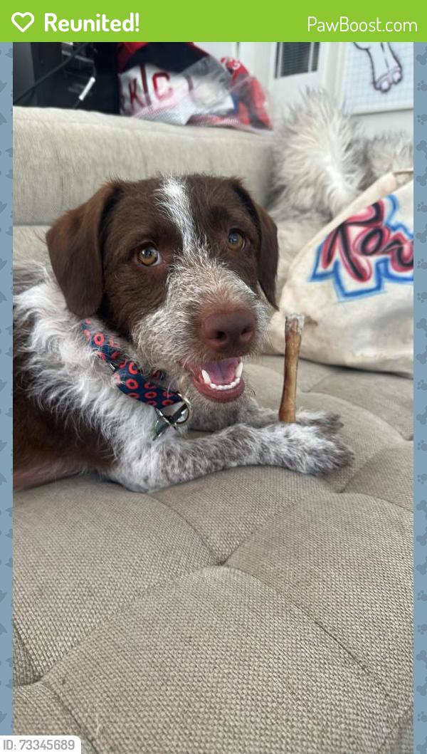 Reunited Male Dog last seen Bank of America in highland park, Los Angeles, CA 90042