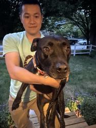 Reunited Female Dog last seen Othello, Seattle, WA 98126