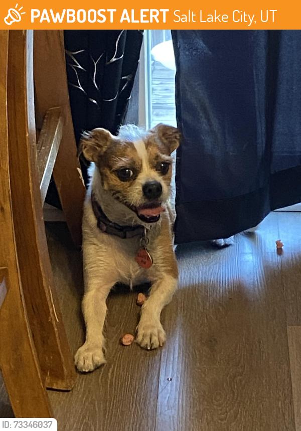Found/Stray Male Dog last seen Near, Salt Lake City, UT 84118