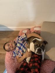 Lost Male Dog last seen Rancho hills dr, San Diego, CA 92139