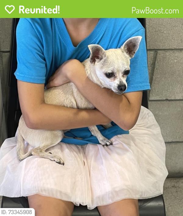 Reunited Male Dog last seen Sunset Cliffs Blvd and Cape May, San Diego, CA 92107