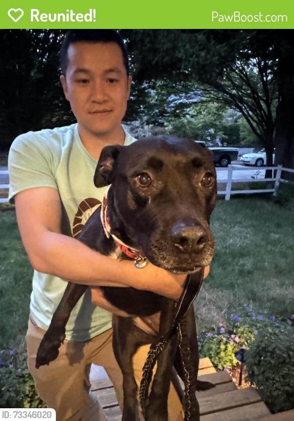Reunited Female Dog last seen Othello, Seattle, WA 98126