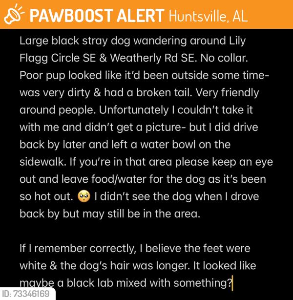 Found/Stray Unknown Dog last seen Lilly Flagg Circle SE & Weatherly Rd SE, Huntsville, AL 35803