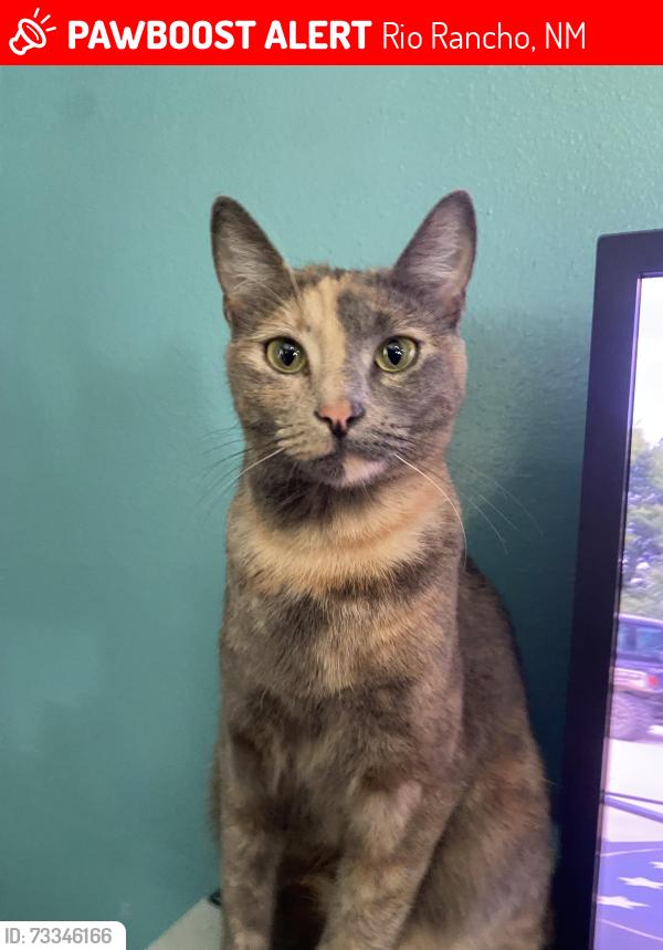 Lost Female Cat last seen 35th Cir Se Rio Rancho, Rio Rancho, NM 87124