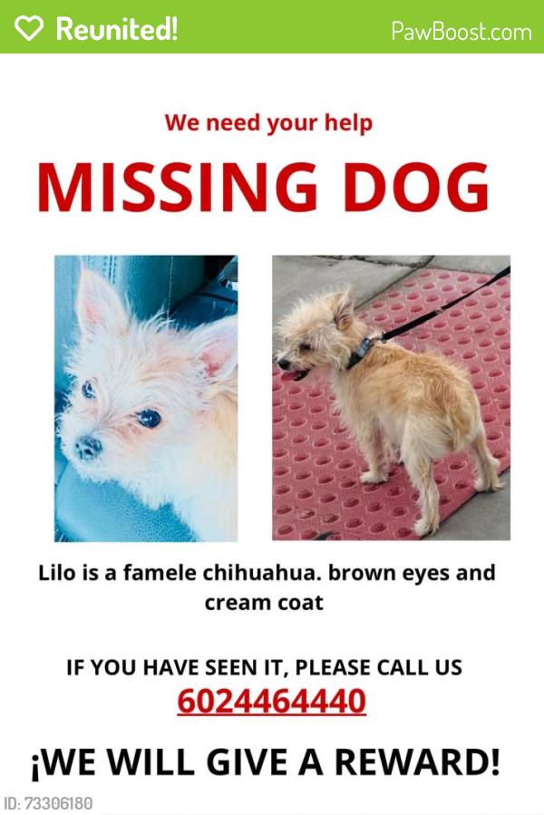 Reunited Female Dog last seen Near W McLellan Rd, Glendale, AZ 85301, EE. UU., Glendale, AZ 85301