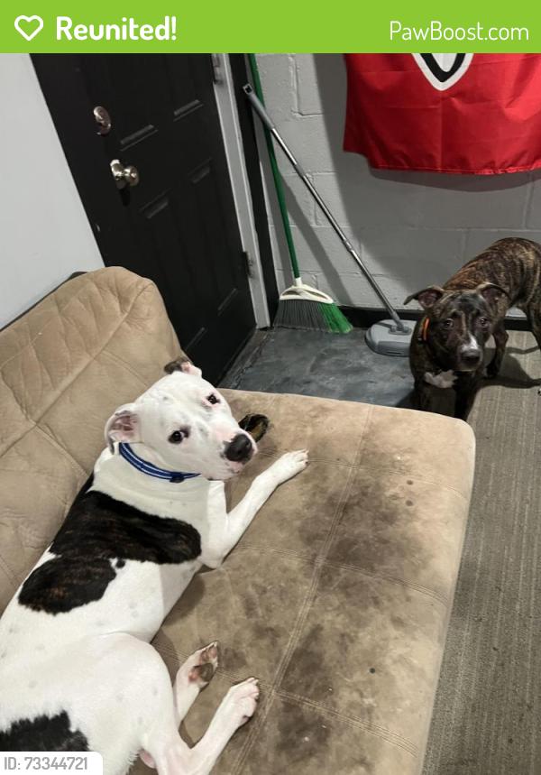 Reunited Male Dog last seen Walmart and Truman High School, Independence, MO 64055
