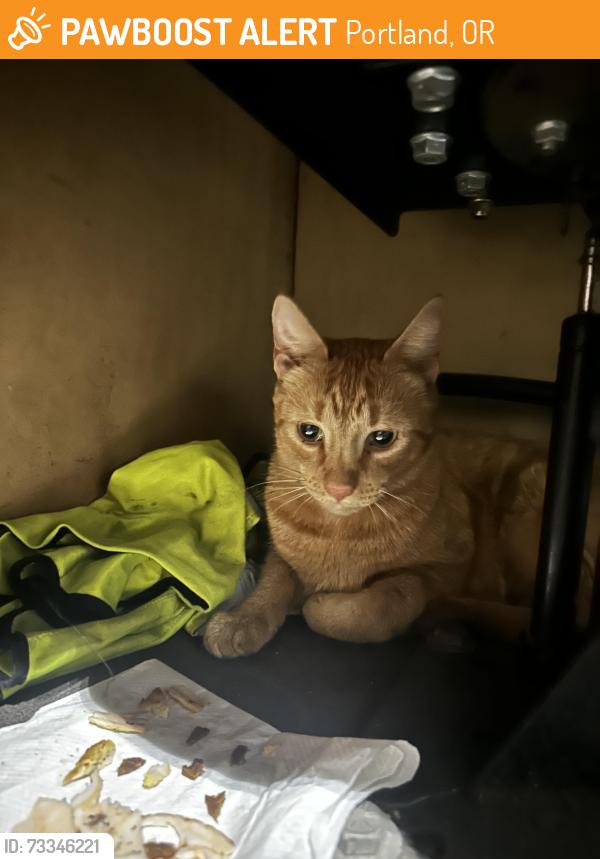 Found/Stray Male Cat last seen N. Willamette BLVD, Portland, OR 97217