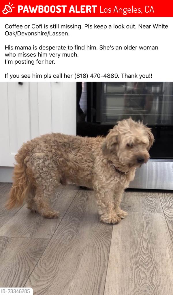 Lost Unknown Dog last seen Devonshire and white oak, Los Angeles, CA 91326