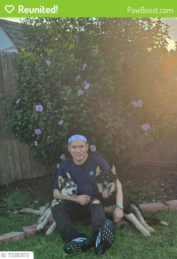Reunited Male Dog last seen Tinker base, Oklahoma City, OK 73135