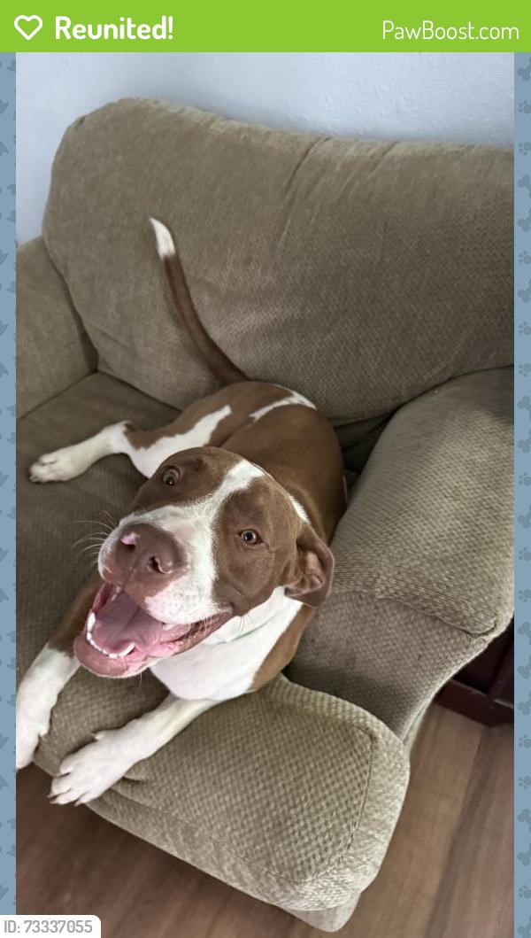 Reunited Male Dog last seen S 116th E Ave & E 37th St, Tulsa, OK 74146