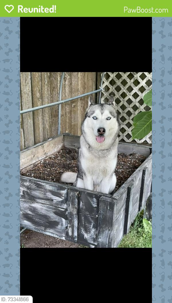 Reunited Female Dog last seen Norris & 4th Plain, Vancouver, WA 98661