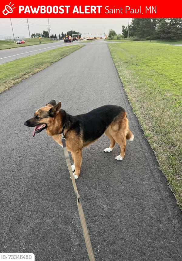 Lost Female Dog last seen 7th st w and Smith ave, Saint Paul, MN 55102