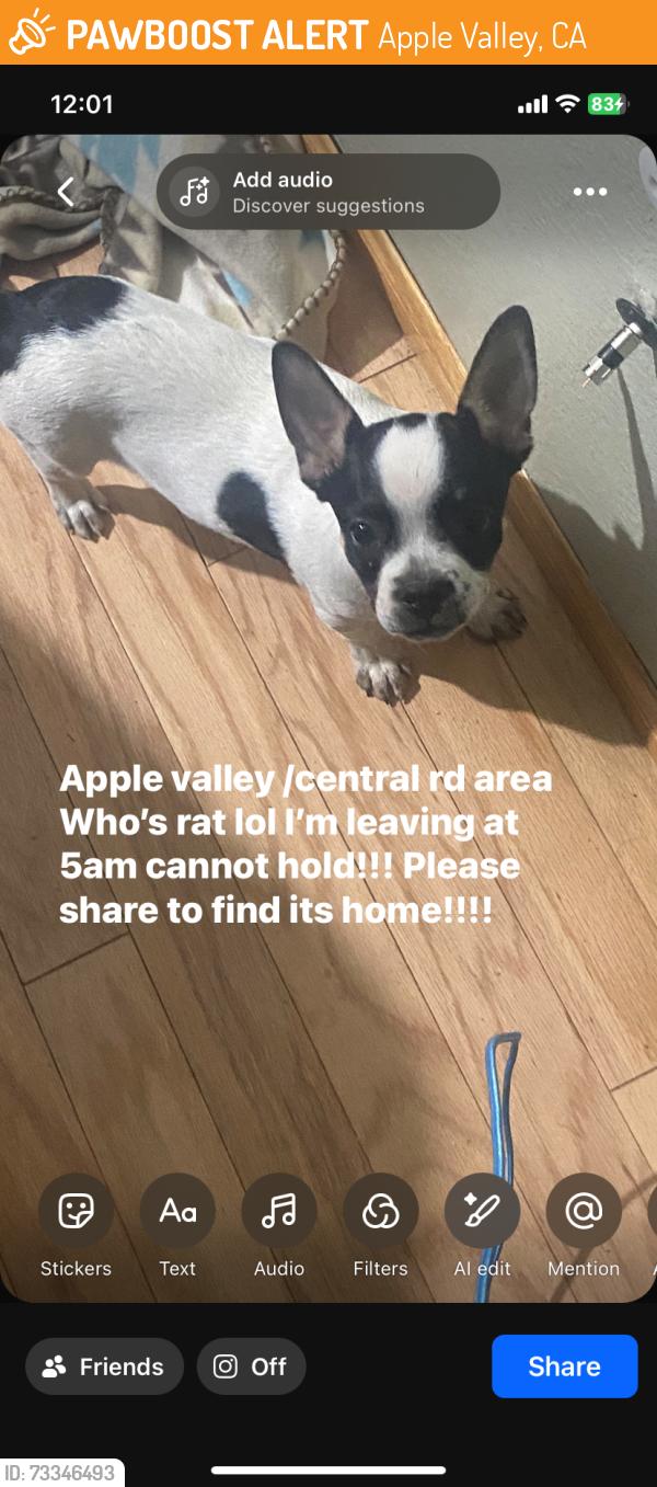 Found/Stray Unknown Dog last seen Central pauhaska, Apple Valley, CA 92307
