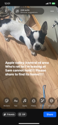 Found/Stray Unknown Dog last seen Central pauhaska, Apple Valley, CA 92307