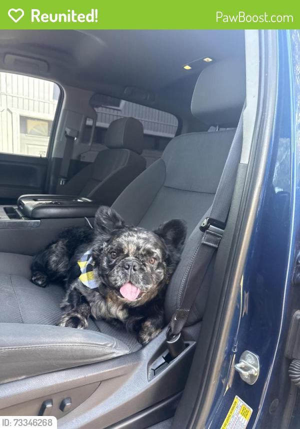 Reunited Male Dog last seen Lakeview dr, Palmdale, CA 93551