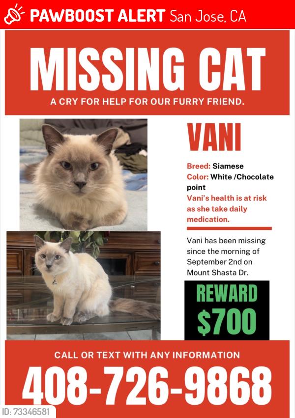 Lost Female Cat last seen Mount McKinley & Mount Vista, San Jose, CA 95127