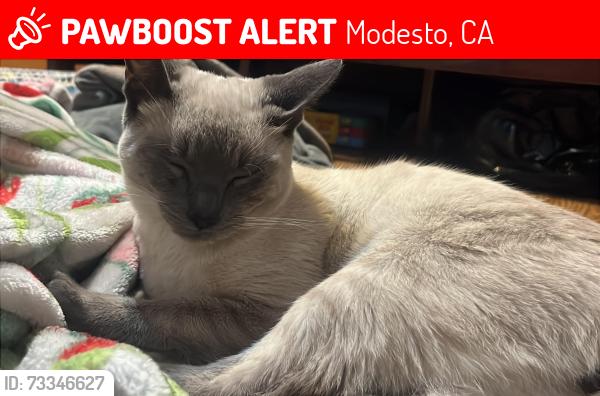 Lost Male Cat last seen Near sunset blvd, Modesto, CA 95351
