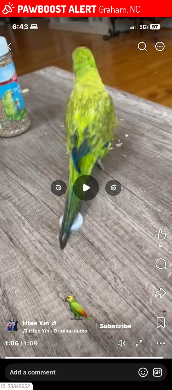 Lost Unknown Bird last seen Graham, Graham, NC 27253