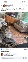 Lost Male Cat last seen Elizabeth Pa Howell Plan, Elizabeth, PA 15037