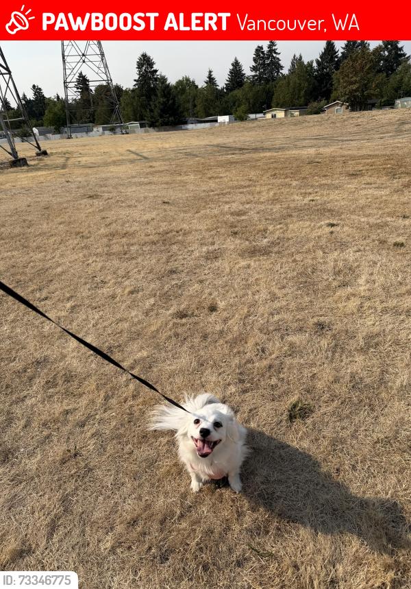 Lost Female Dog last seen Pacific Community Park, Vancouver, WA 98684