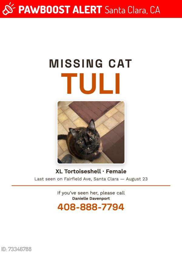 Lost Female Cat last seen Benton, Santa Clara, CA 95050