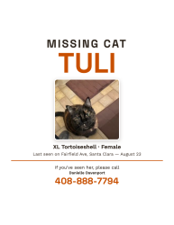 Lost Female Cat last seen Benton, Santa Clara, CA 95050