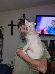Lost Male Dog last seen Stephenson ave, Oak Island, TX 77514