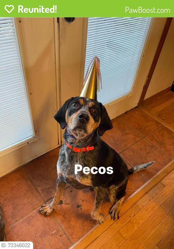Reunited Male Dog last seen Centerpoint Rd & past Old Bastrop Rd, San Marcos, TX 78666