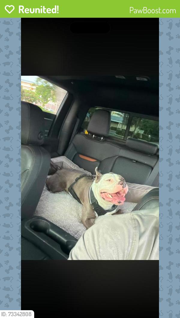 Reunited Female Dog last seen Near NE 19th Ave, Deerfield Beach, FL 33441, USA, Deerfield Beach, FL 33441