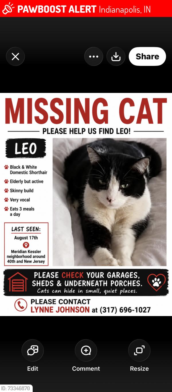 Lost Male Cat last seen 40th and New Jersey st Indianapolis, Indianapolis, IN 46205