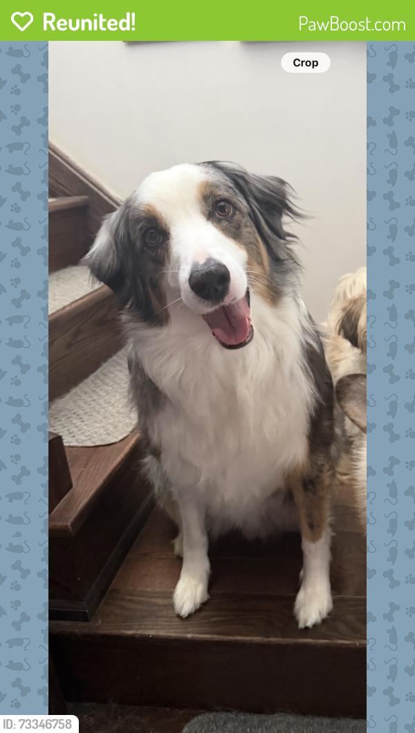 Reunited Male Dog last seen Near gates to w, Hamilton, ON L8J 3Y6