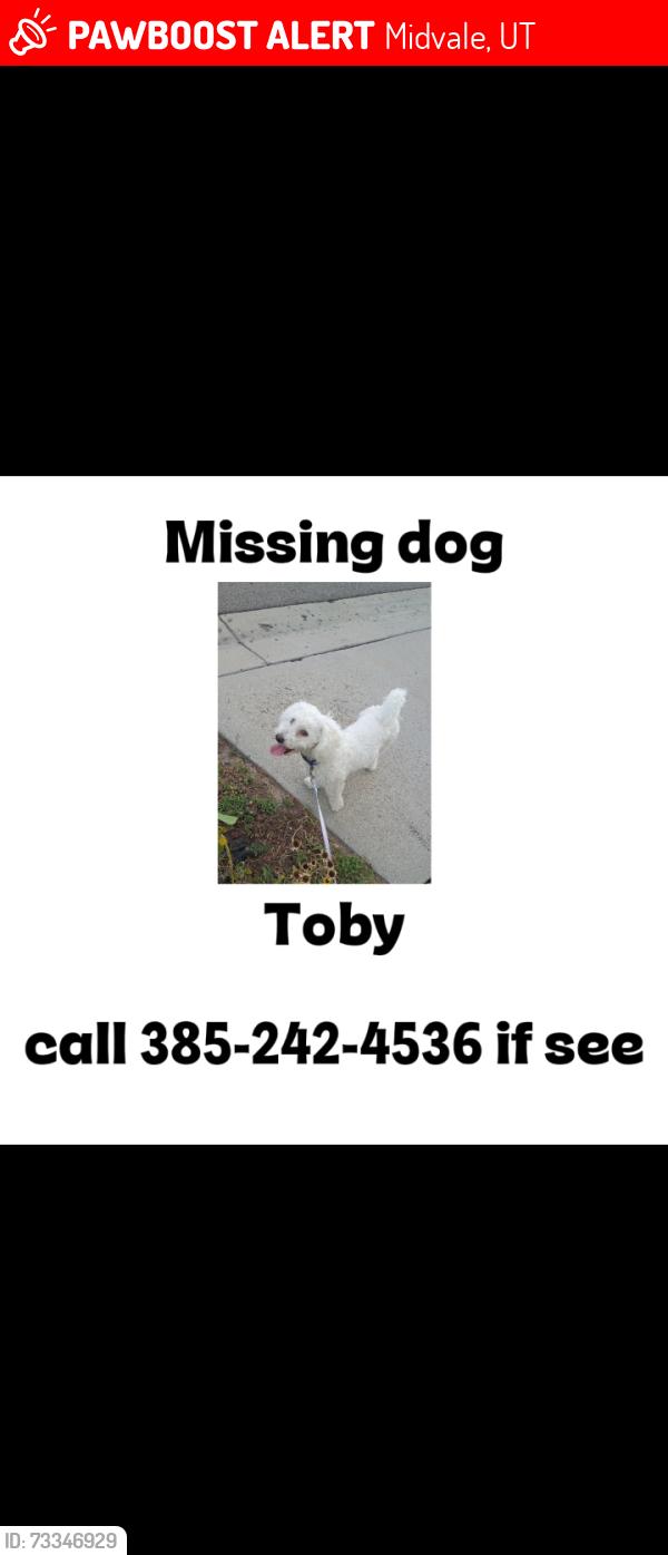 Lost Male Dog last seen Midvale S 145 E, Midvale, UT 84047