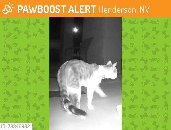 Found/Stray Unknown Cat last seen Pueblo. And. Aloha, Henderson, NV 89015