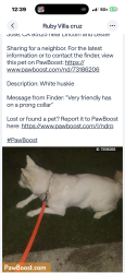 Lost Male Dog last seen Lester San Jose CA, San Jose, CA 95125