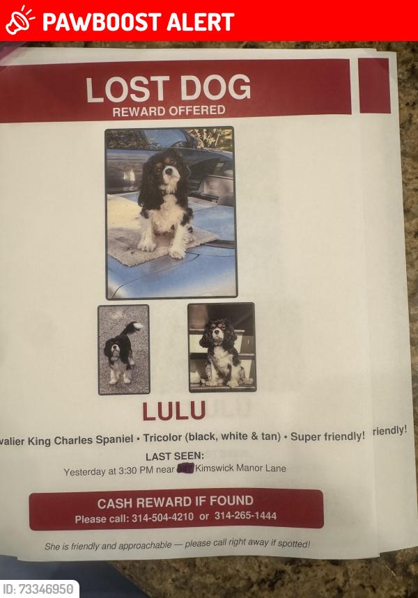Lost Female Dog last seen Clayton/141, Missouri River Township, MO 63011