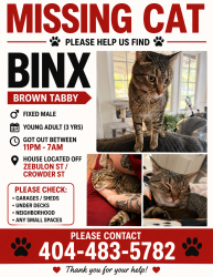 Lost Male Cat last seen Zebulon St and Crowder St, Barnesville, GA 30204