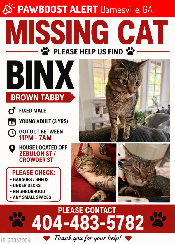 Lost Male Cat last seen Zebulon St and Crowder St, Barnesville, GA 30204