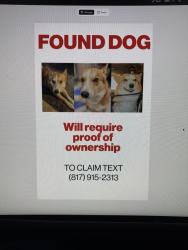 Found/Stray Male Dog last seen FM 3136 and 810, Alvarado, TX 76009